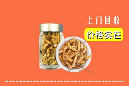 鹿邑县回收散虫草