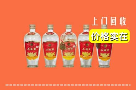 鹿邑县回收老五粮液